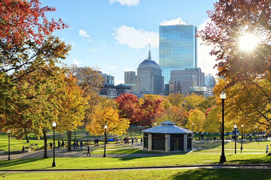 About Our Agency - View of Boston Common on a Sunny Autumn Day, With Large Buildings Rising in the Background