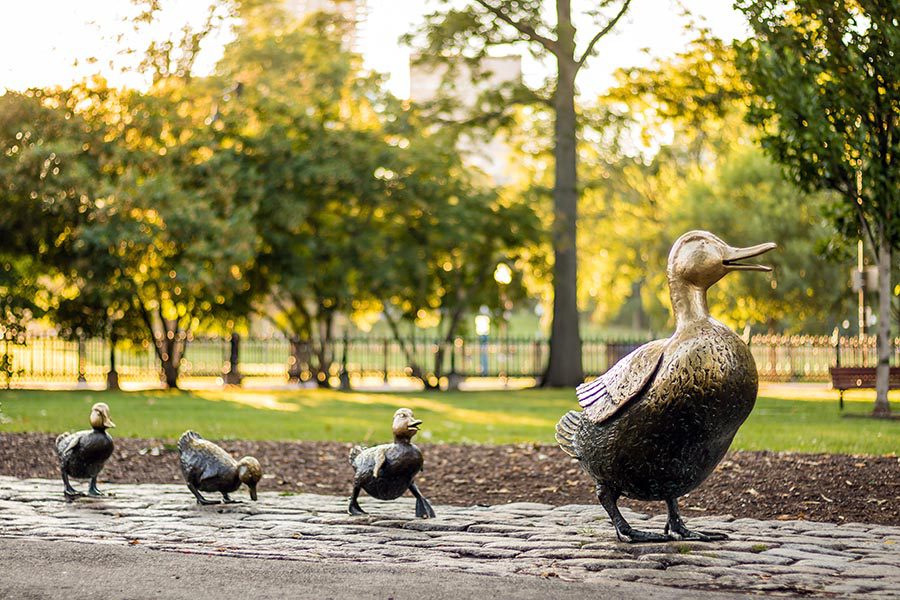 Contact Us - Bronze Duck Statues in Boston Common, the Ducklings Trailing Behind Their Mother, Trees in the Background