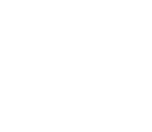 PIA Logo White